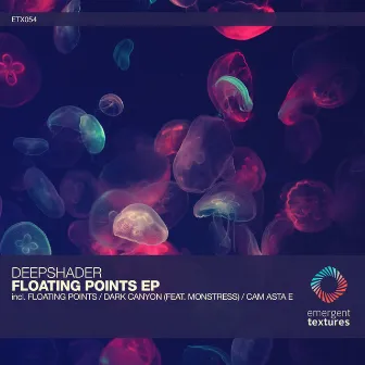 Floating Points by Deepshader