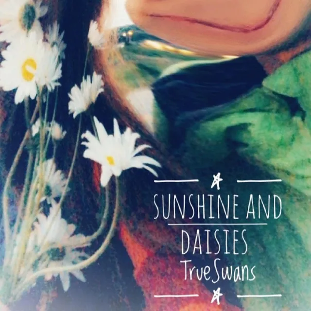 Sunshine and Daisies