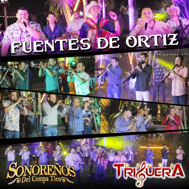 Fuentes de Ortiz (En Vivo)