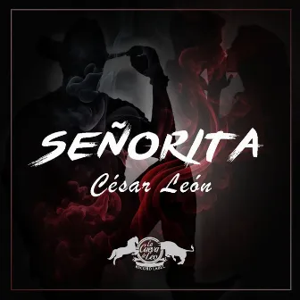 Señorita by Cesar Leon