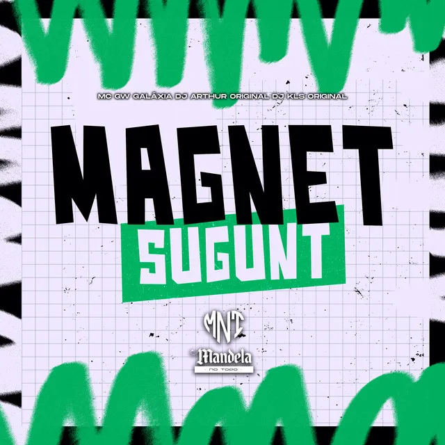 Magnet Sugunt