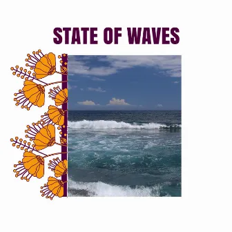 State of Waves by Water in the Earth