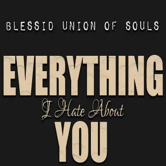 Everything I Hate About You by Unknown Artist