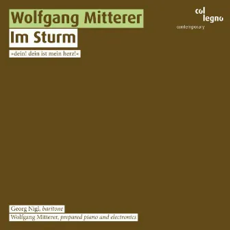 Im Sturm by Georg Nigl