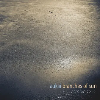 Branches of Sun Remixed by Aukai