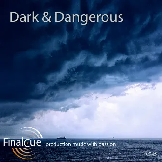 Dark & Dangerous by John Sommerfield