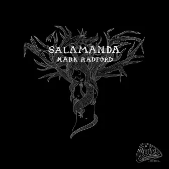 Salamanda by Mark Radford