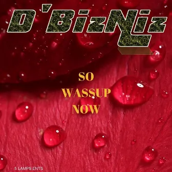 So Wassup Now by D'BizNiz