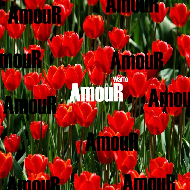 Amour