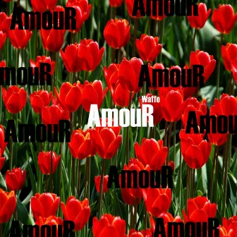 Amour by Waffo