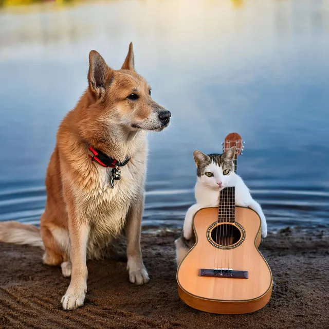 Gentle Water Pets