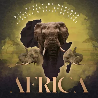 Africa by Djy Ross