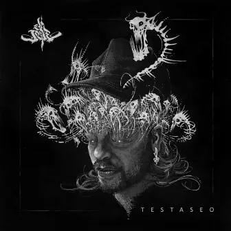 Testaseo by El Jose