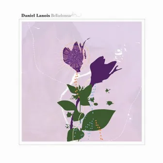 Belladonna by Daniel Lanois