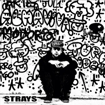 Strays by Moses Concas