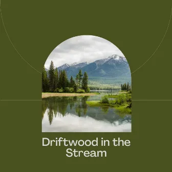 Driftwood in the Stream by The Nature Soundscape