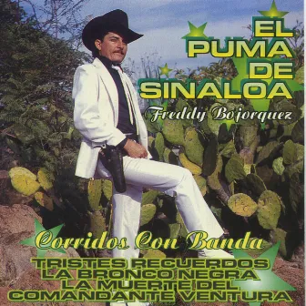 Tristes Recuerdos by El Puma De Sinaloa