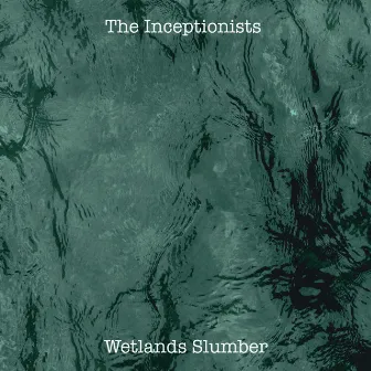 Wetlands Slumber by The Inceptionists