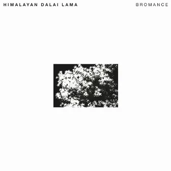 Bromance by Himalayan Dalai Lama