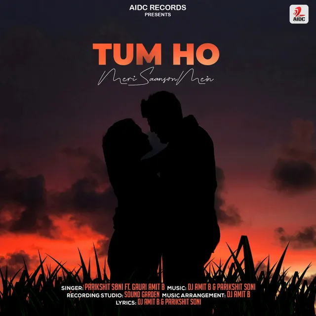 Tum Ho Meri Saanson Mein - Original Mix