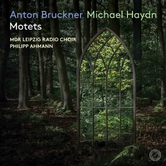 Bruckner & M. Haydn: Motets by Philipp Ahmann