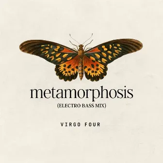 Metamorphosis (Electro Bass Mix) by Virgo Four