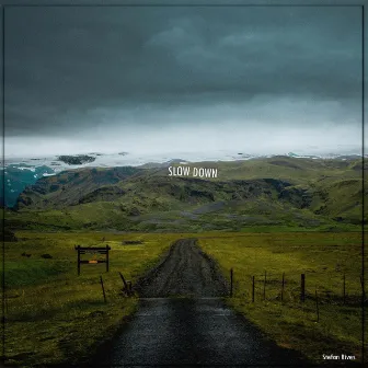 Slow Down - EP by Stefan Rives