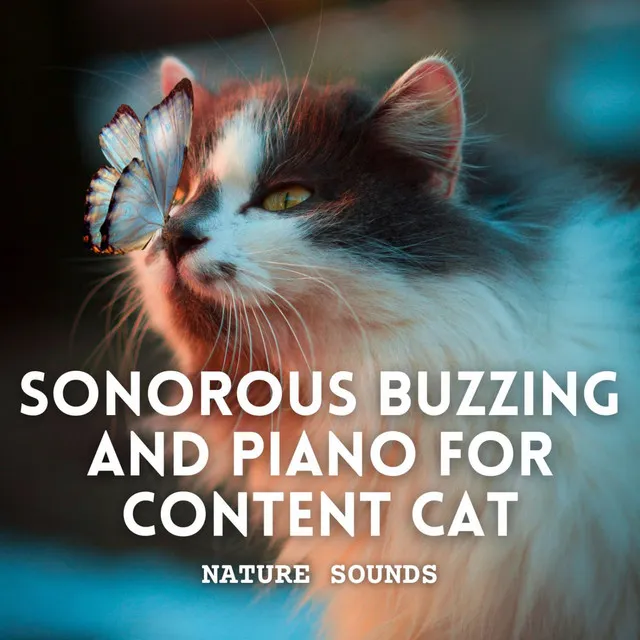 Nature Sounds: Sonorous Buzzing and Piano for Content Cat