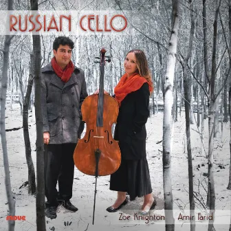 Russian Cello by Amir Farid