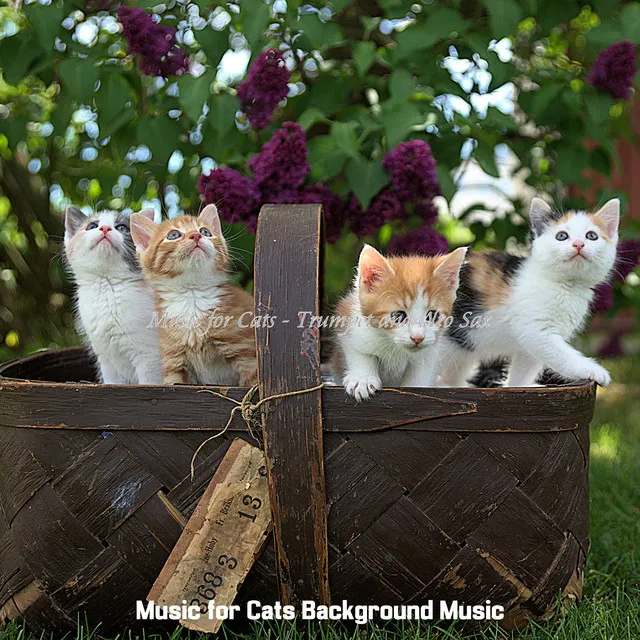 Music for Cats - Trumpet and Alto Sax