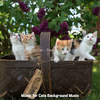 Music for Cats - Trumpet and Alto Sax by Music for Cats Background Music