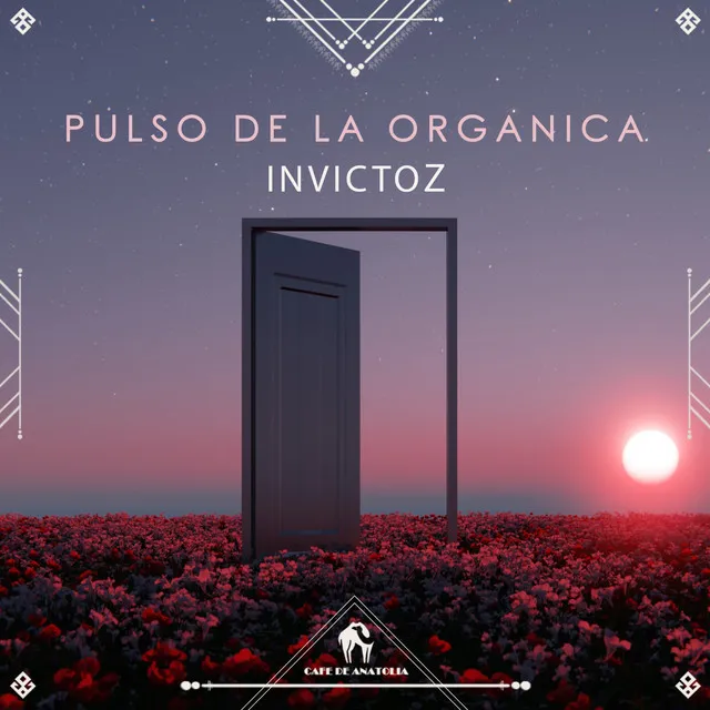 Pulso De La Organica