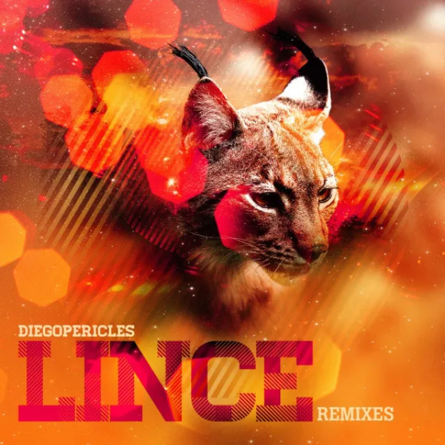 Lince - Nate Caswell Remix