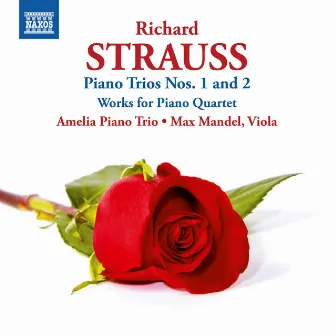 Strauss: Piano Trios Nos. 1 & 2 by Amelia Piano Trio