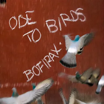 Ode To Birds by Bofirax