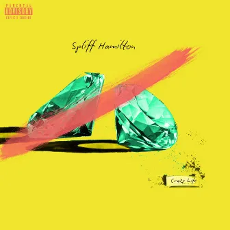 Crazy Life of Mine by Spliff Hamilton