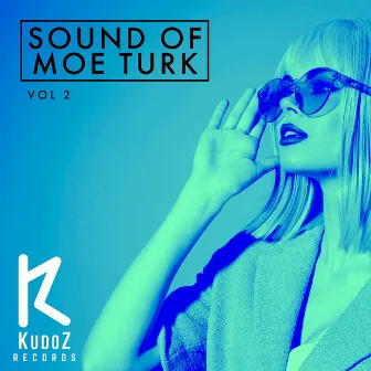 Sound Of Moe Turk, Vol. 2 by Moe Turk