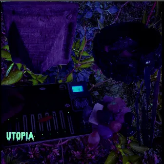 Utopia by Toadstool