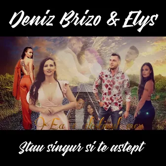 Stau Singur Si Te Astept by Deniz Brizo