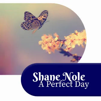 A Perfect Day by Shane Nole