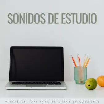 Sonidos De Estudio: Vibras De Lofi Para Estudiar Eficazmente by Estudio lofi