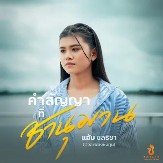 คำสัญญาที่ชานุมาน by แอ้ม ชลธิชา