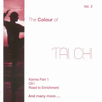 The Colour of Tai Chi, Vol. 2 by Wei Li Yang