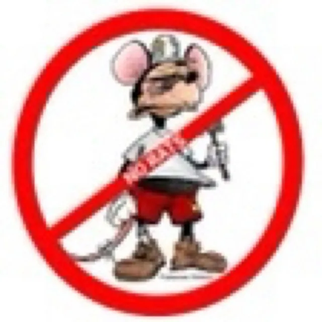 No Rats