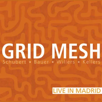 Grid Mesh; Live in Madrid by Frank Paul Schubert