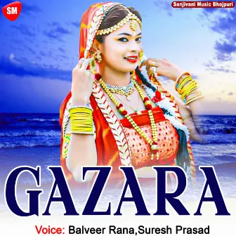 Gazara by Balveer Rana