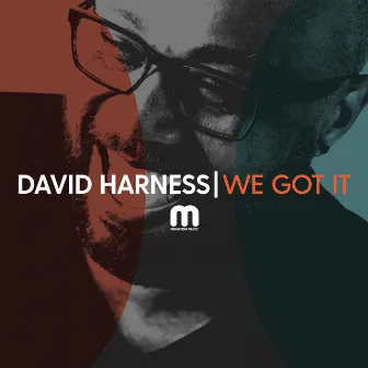 We Got It by David Harness