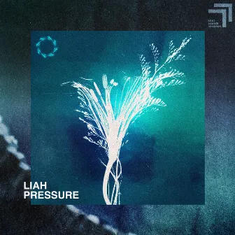 Pressure by Liah