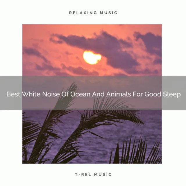 Perfect White Noise Of Wind And Animals For Good Deep Sleep