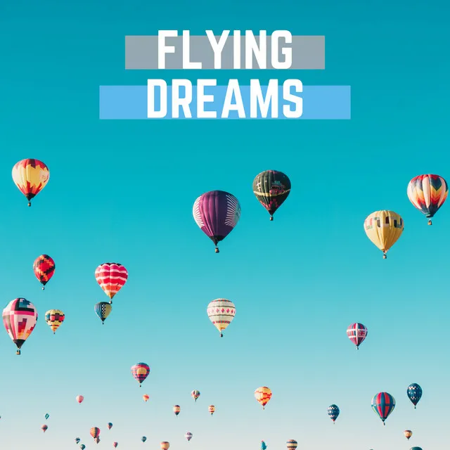 Flying Dreams